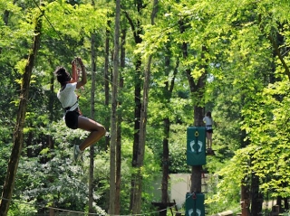  Crossing the park in the air 